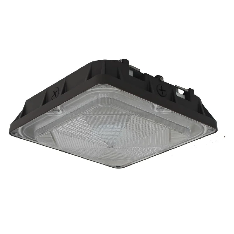 Industrial Lighting for Pharmaceutical ManufacturingHoward Lighting LED Canopy Light - 80W - 9,548 Lumens - 5000K - 120-277V - 150W Equal