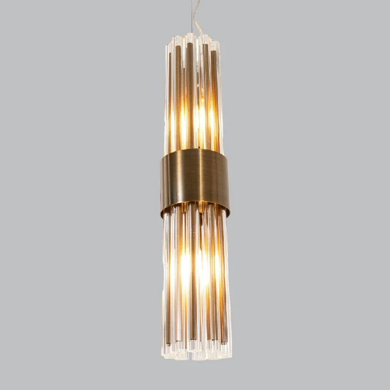 Track lighting with a chunky, bold designIves Brass/Nickel Finish Pendant G9