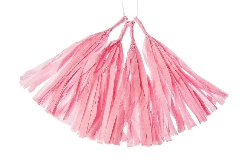 Decorative Edison light bulbs for restaurantsBubblegum Pink Tissue Paper Tassel, Set of 4