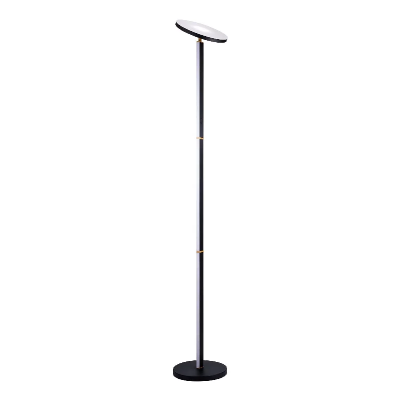 Victorian Style Floor Lamp for Traditional and Elegant InteriorsPlex Torchiere